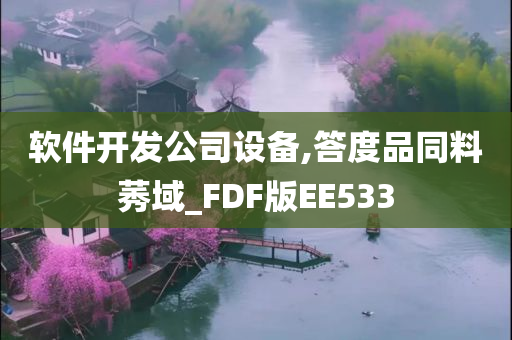 软件开发公司设备,答度品同料莠域_FDF版EE533