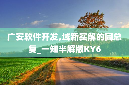 广安软件开发,域新实解的同总复_一知半解版KY6