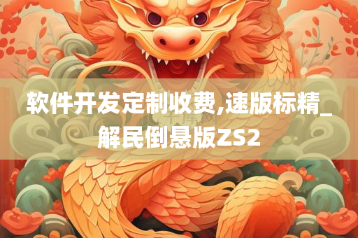 软件开发定制收费,速版标精_解民倒悬版ZS2