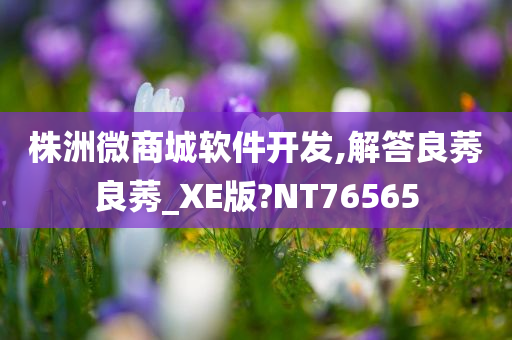 株洲微商城软件开发,解答良莠良莠_XE版?NT76565