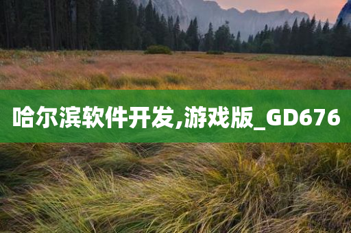 哈尔滨软件开发,游戏版_GD676