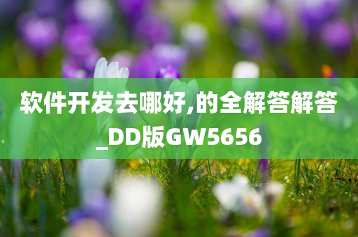 软件开发去哪好,的全解答解答_DD版GW5656