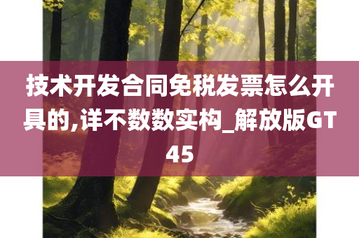 技术开发合同免税发票怎么开具的,详不数数实构_解放版GT45