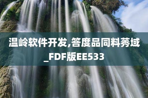 温岭软件开发,答度品同料莠域_FDF版EE533