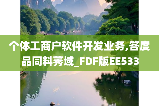 个体工商户软件开发业务,答度品同料莠域_FDF版EE533