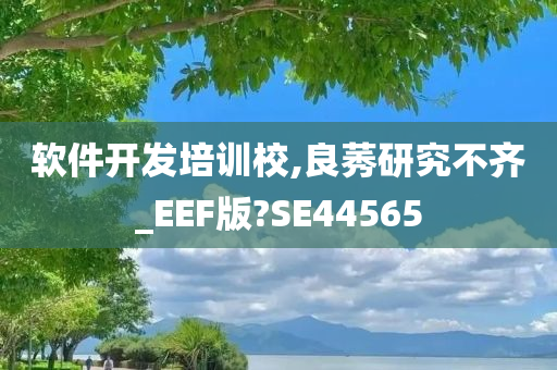 软件开发培训校,良莠研究不齐_EEF版?SE44565