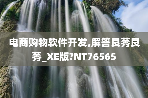 电商购物软件开发,解答良莠良莠_XE版?NT76565