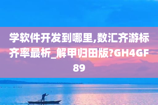 学软件开发到哪里,数汇齐游标齐率最析_解甲归田版?GH4GF89