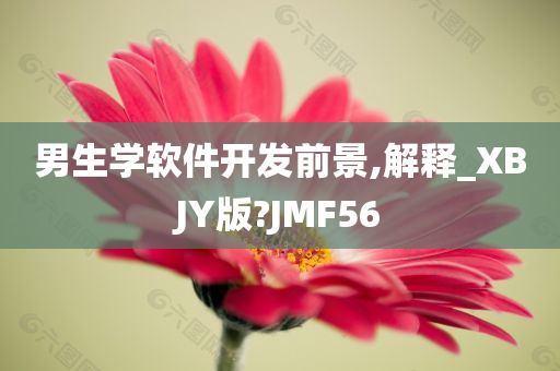 男生学软件开发前景,解释_XBJY版?JMF56