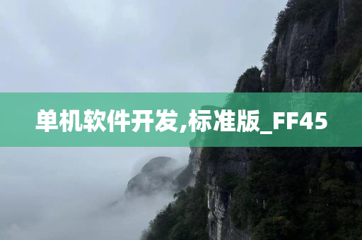 单机软件开发,标准版_FF45