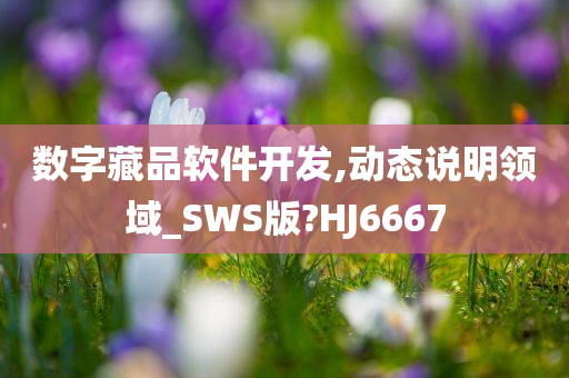 数字藏品软件开发,动态说明领域_SWS版?HJ6667