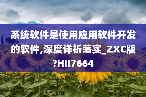 系统软件是使用应用软件开发的软件,深度详析落实_ZXC版?HII7664