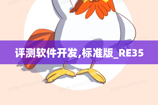 评测软件开发,标准版_RE35