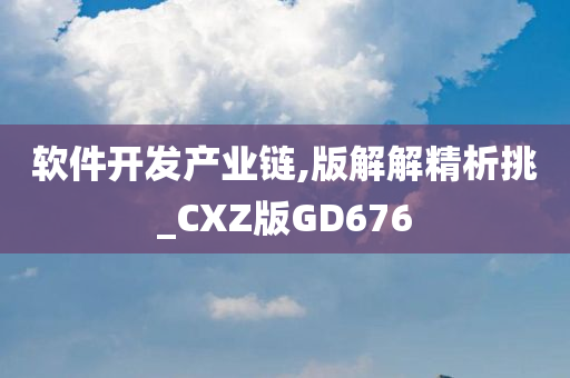 软件开发产业链,版解解精析挑_CXZ版GD676