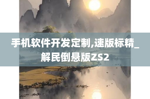 手机软件开发定制,速版标精_解民倒悬版ZS2