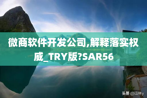 微商软件开发公司,解释落实权威_TRY版?SAR56