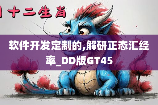 软件开发定制的,解研正态汇经率_DD版GT45