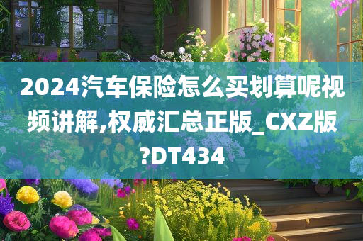 2024汽车保险怎么买划算呢视频讲解,权威汇总正版_CXZ版?DT434