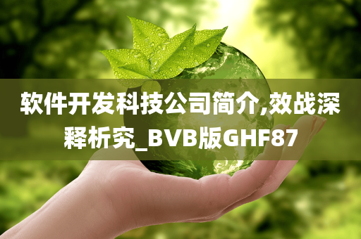 软件开发科技公司简介,效战深释析究_BVB版GHF87