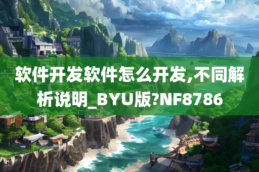 软件开发软件怎么开发,不同解析说明_BYU版?NF8786