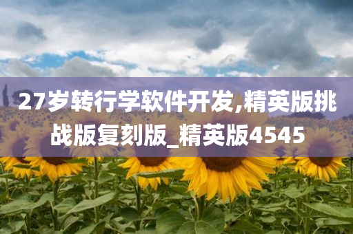 27岁转行学软件开发,精英版挑战版复刻版_精英版4545