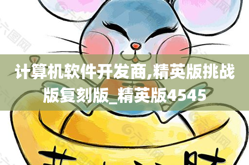 计算机软件开发商,精英版挑战版复刻版_精英版4545