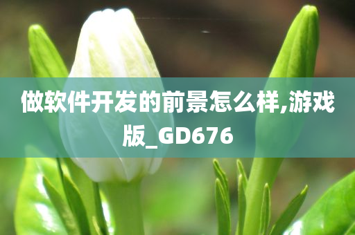 做软件开发的前景怎么样,游戏版_GD676