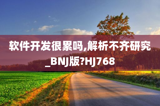 软件开发很累吗,解析不齐研究_BNJ版?HJ768