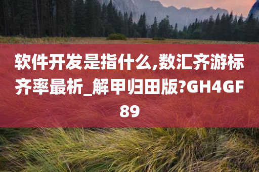 软件开发是指什么,数汇齐游标齐率最析_解甲归田版?GH4GF89