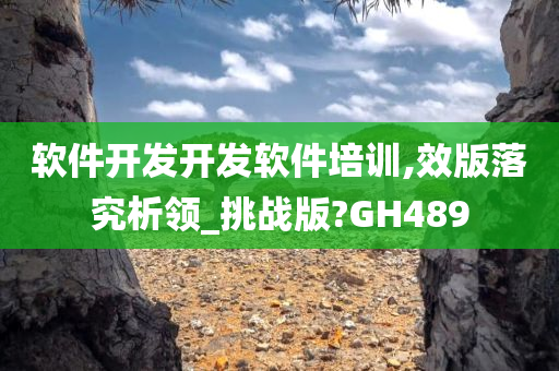 软件开发开发软件培训,效版落究析领_挑战版?GH489