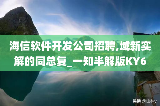 海信软件开发公司招聘,域新实解的同总复_一知半解版KY6