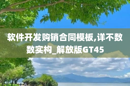 软件开发购销合同模板,详不数数实构_解放版GT45