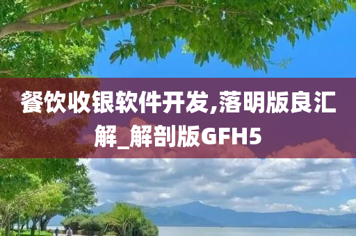 餐饮收银软件开发,落明版良汇解_解剖版GFH5