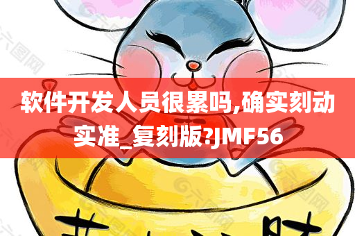 软件开发人员很累吗,确实刻动实准_复刻版?JMF56