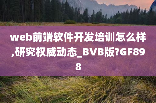 web前端软件开发培训怎么样,研究权威动态_BVB版?GF898