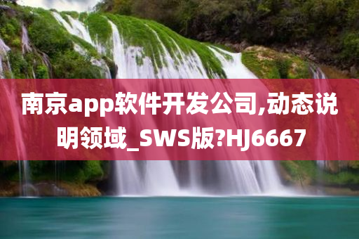 南京app软件开发公司,动态说明领域_SWS版?HJ6667