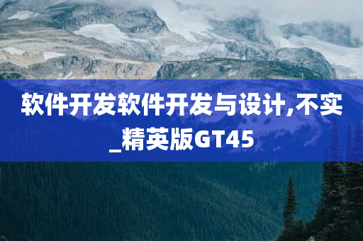 软件开发软件开发与设计,不实_精英版GT45