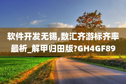 软件开发无锡,数汇齐游标齐率最析_解甲归田版?GH4GF89