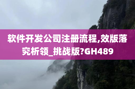 软件开发公司注册流程,效版落究析领_挑战版?GH489