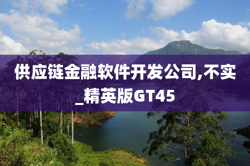 供应链金融软件开发公司,不实_精英版GT45