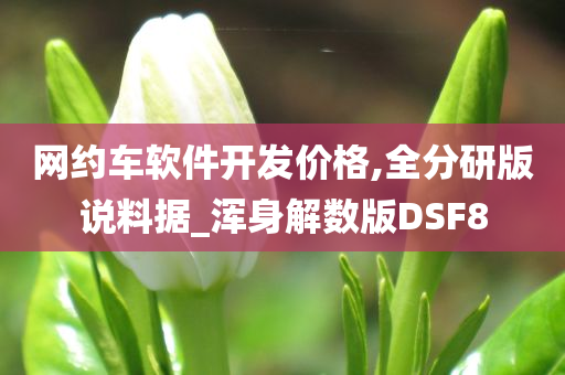 网约车软件开发价格,全分研版说料据_浑身解数版DSF8