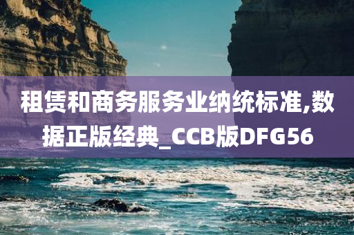 租赁和商务服务业纳统标准,数据正版经典_CCB版DFG56