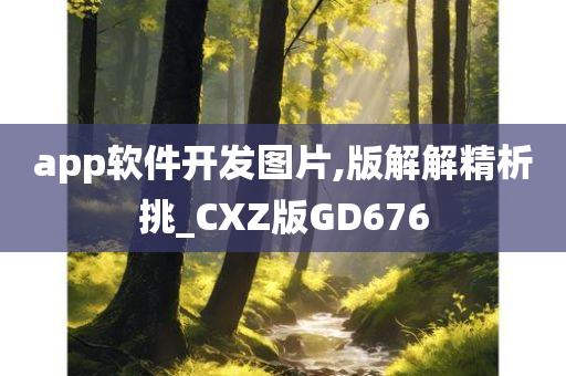 app软件开发图片,版解解精析挑_CXZ版GD676