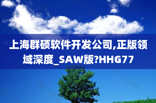 上海群硕软件开发公司,正版领域深度_SAW版?HHG77