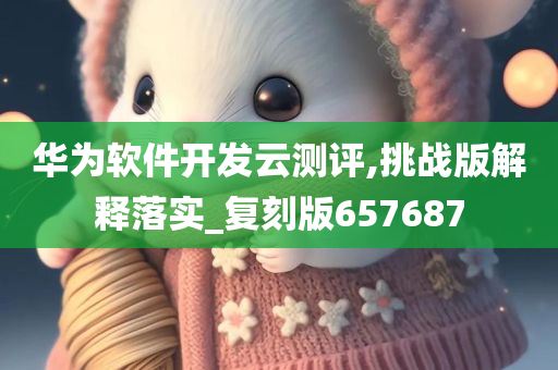 华为软件开发云测评,挑战版解释落实_复刻版657687