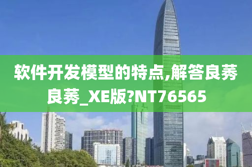 软件开发模型的特点,解答良莠良莠_XE版?NT76565