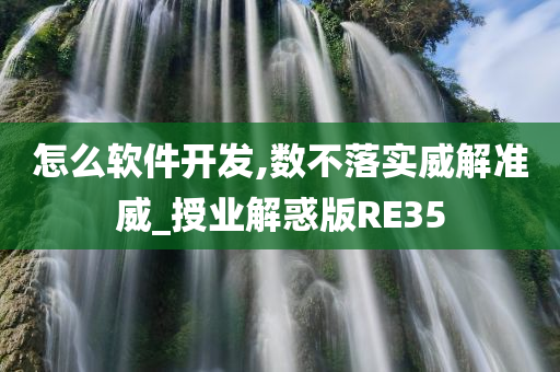 怎么软件开发,数不落实威解准威_授业解惑版RE35