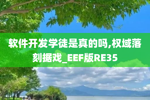 软件开发学徒是真的吗,权域落刻据戏_EEF版RE35