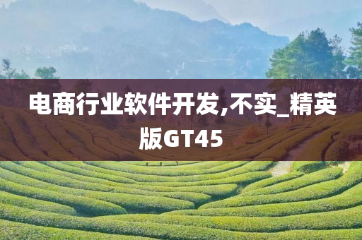 电商行业软件开发,不实_精英版GT45