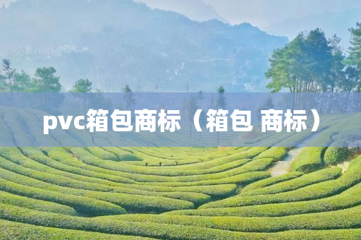 pvc箱包商标（箱包 商标）